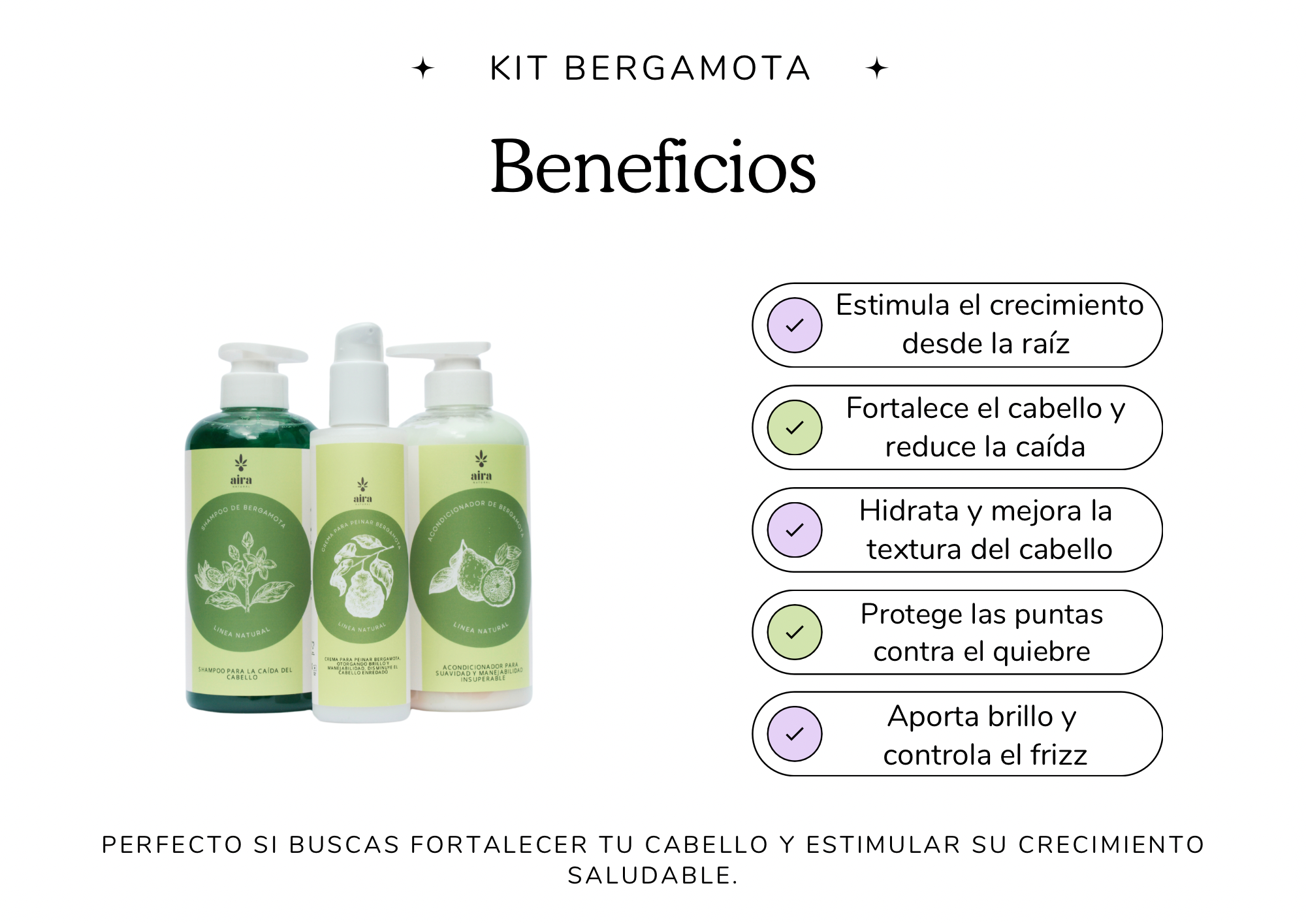 Kit bergamota (Anti caída)